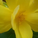 Quintinha Dos Cedros * 알판데가 다 페