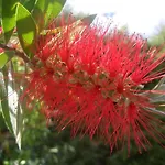 Quintinha Dos Cedros Tatil Evi Alfândega da Fé