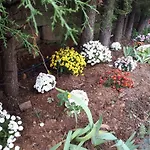 Quintinha Dos Cedros 펜션 *