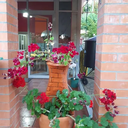 Quintinha Dos Cedros בית נופש *
