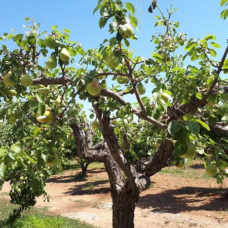 Quintinha Dos Cedros Casa de Férias *