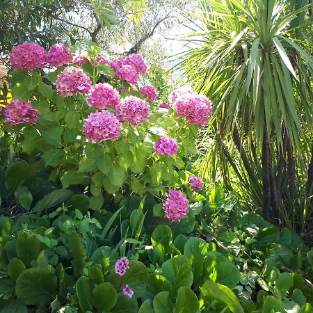 Casa de Férias Quintinha Dos Cedros Alfândega da Fé