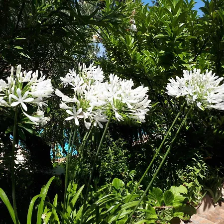 Quintinha Dos Cedros