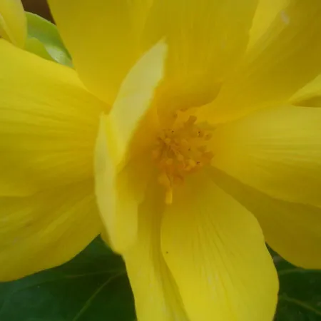 Quintinha Dos Cedros * Alfândega da Fé