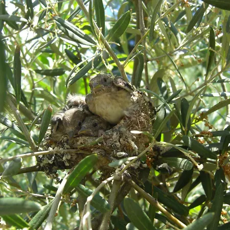 Quintinha Dos Cedros Prázdninový dům *