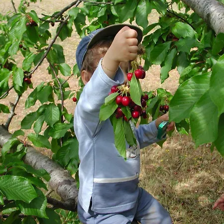 Tatil Evi Quintinha Dos Cedros