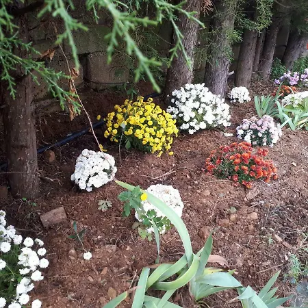 Quintinha Dos Cedros Ferienhaus *