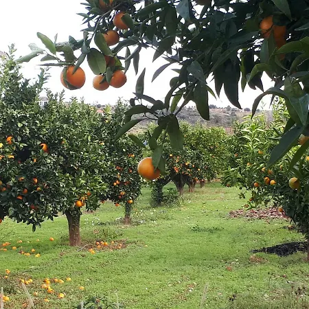 Quintinha Dos Cedros Prázdninový dům