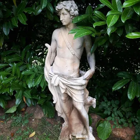 Quintinha Dos Cedros