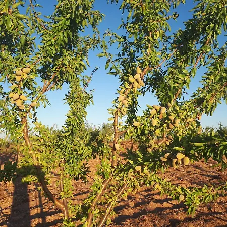 Quintinha Dos Cedros Vakantiehuis *