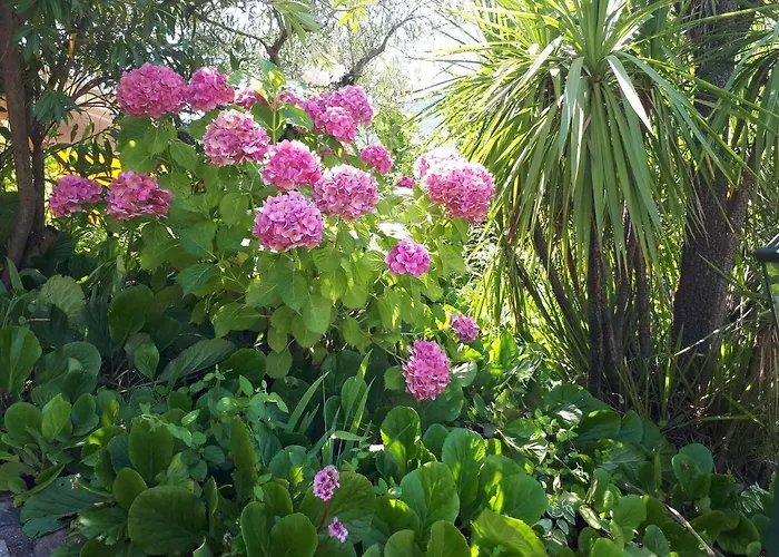 Дом отдыха Quintinha Dos Cedros Алфандега-да-Фе