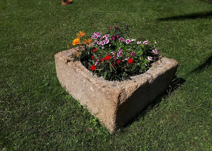 Дом отдыха Quintinha Dos Cedros Алфандега-да-Фе