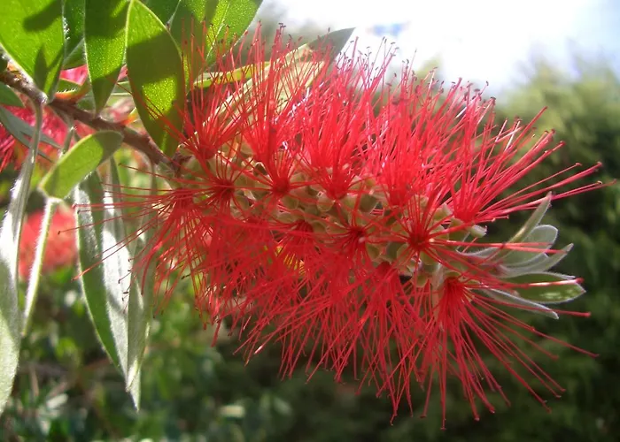 Quintinha Dos Cedros Casa de Férias Alfândega da Fé