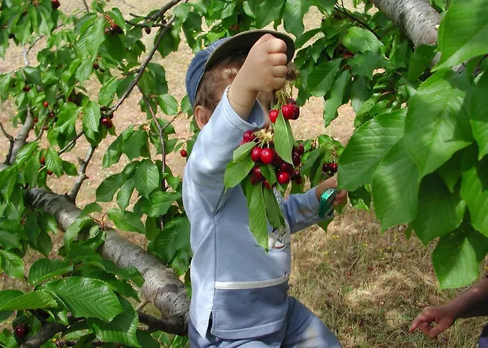 Casa de Férias Quintinha Dos Cedros