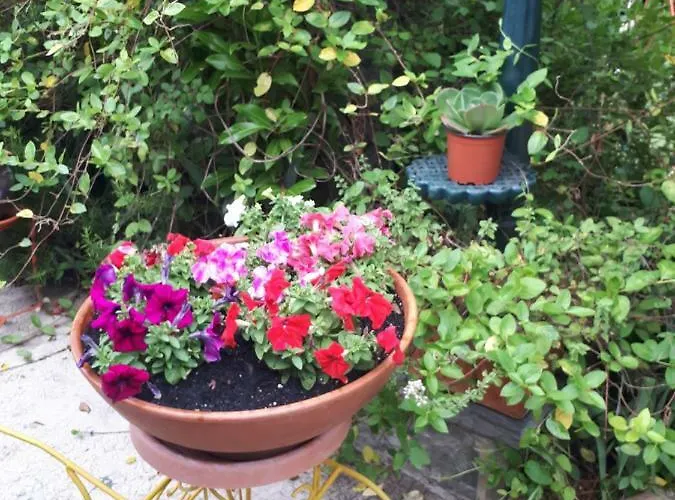 Quintinha Dos Cedros Алфандега-да-Фе