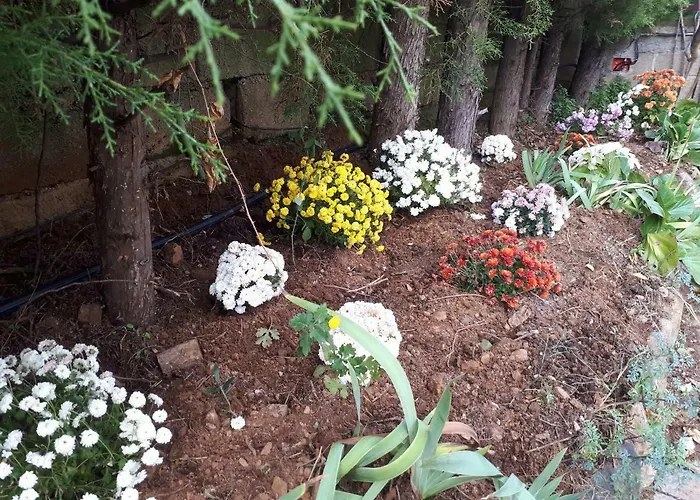 Quintinha Dos Cedros Casa de Férias *