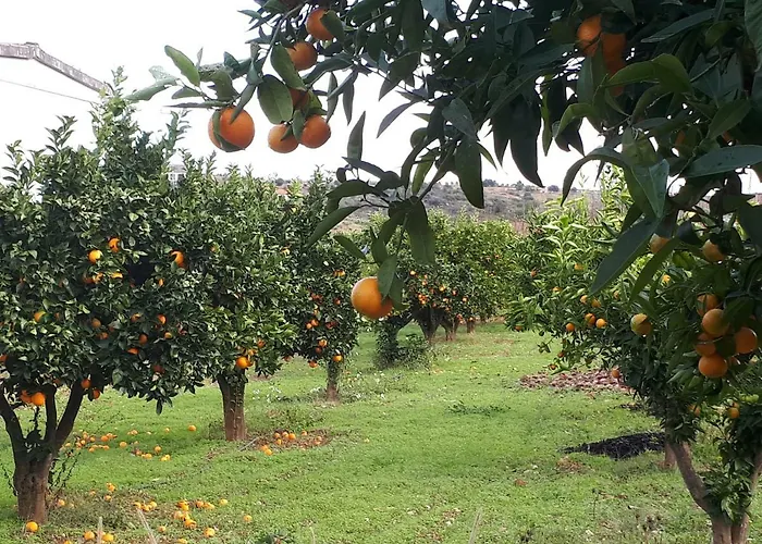 Quintinha Dos Cedros Casa de Férias