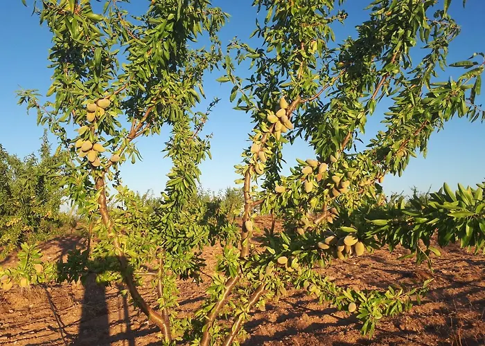 Quintinha Dos Cedros 度假居 *